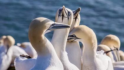 爱游戏在线登录